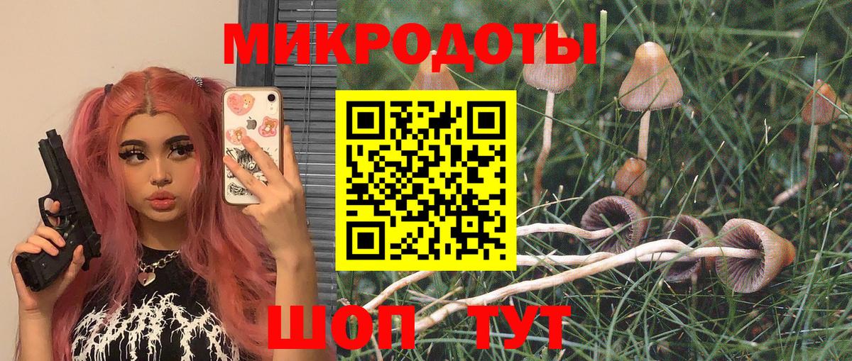 Псилоцибиновые грибы Magic Shrooms Солнечногорск