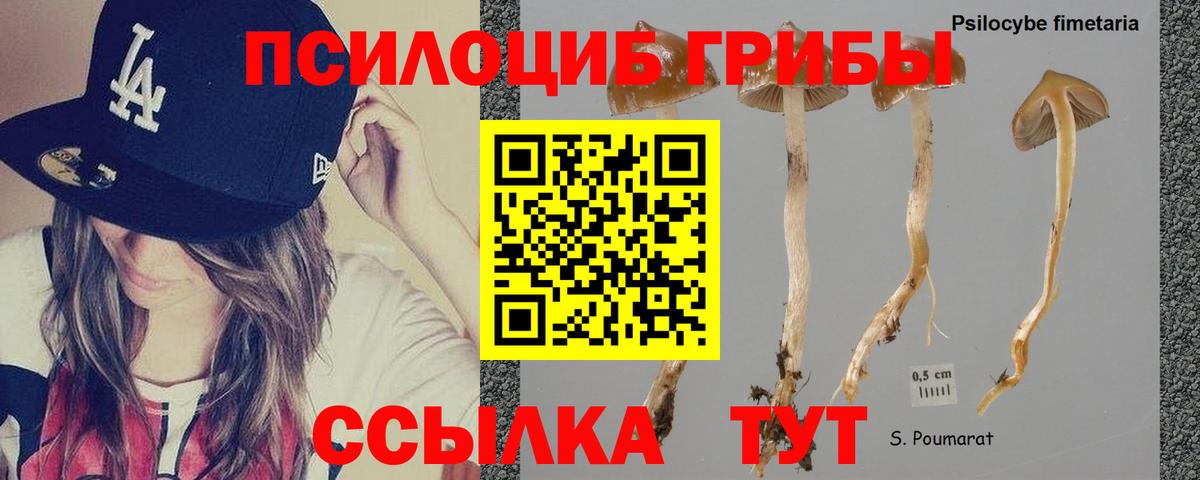 Солнечногорск  Псилоцибиновые грибы прущие грибы  Галлюциногенные грибы прущие грибы  Вход с VPN 